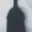 Pain & Pleasure Paddle