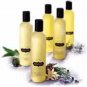 Kama Sutra Massage Oil - Soaring Spirit