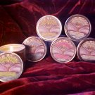 Lava Lotion Vanilla Lotion Candle