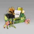 Kama Sutra Love Essentials Kit