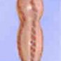 Glowgasim Liquid Filled Pyrex Glass Dildo