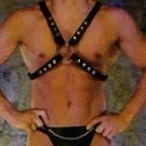 Leather and Chain Harness