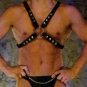 Leather and Chain Harness