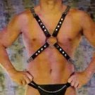 Leather Harness