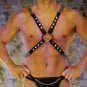 Leather Harness