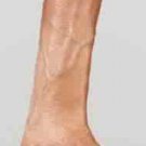Adam Hart Realistic Cock Celebrity Skin Dildo