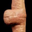 Double Dong With Balls Double Head Dildo