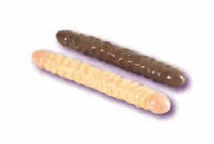 Ivory Duo 12" Veined Double Dong Double Head Dildo