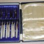 Fancy 12 pc Victorian Mother of Pearl Cased Set Knives & Forks
