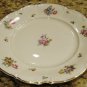 13 inch Round Serving Platter MAYFAIR Hutschenreuther