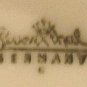 VIENNA by Rosenthal Cup with Elaborate Flowers Pattern