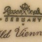 ELABORATE FLOWERS & GOLD VIENNA by ROSENTHAL SAUCER