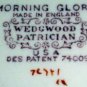 MORNING GLORY Wedgwood Patrician Small Oval Plate