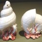 Pair Hand Painted Fitz & Floyd Seashell Salt & Pepper Shakers