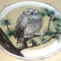 National Wildlife, Snowy Owl Sun Catcher for Window Display