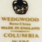 Wedgwood Columbia Enameled Footed Cup & Saucer Leigh Shape