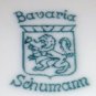 13 inch Schumann Bavaria Charger Platter Dresden Flower