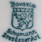 Schumann Bavaria Cup & Saucer Set Dresden Flowers