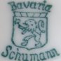 Schumann Bavaria Cup & Saucer Set Dresden Flowers