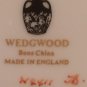 Columbia Enameled Wedgwood Dinner Plate England