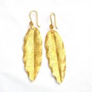 Gold Plated Earrings in Sterling Silver