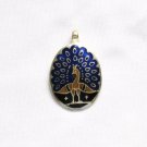 Enameled Pendant in Sterling Silver