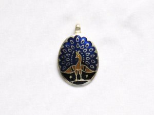 Enameled Pendant in Sterling Silver