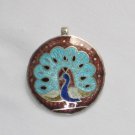 Enameled Pendant in Sterling Silver