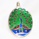 Enameled Pendant in Sterling Silver