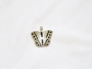 Enameled Pendant in Sterling Silver