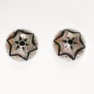 Enameled Earrings  in Sterling Silver