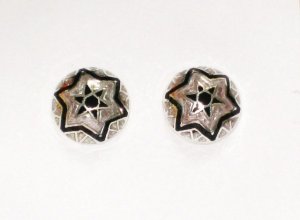 Enameled Earrings  in Sterling Silver