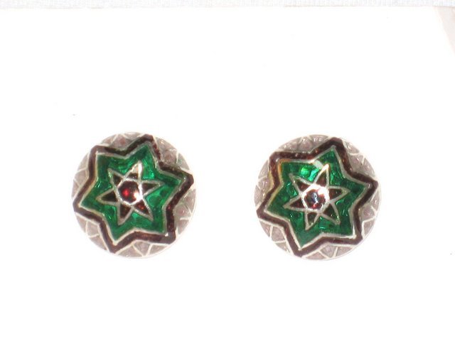 MN220 Enameled Earrings in Sterling Silver