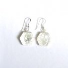 AQ088    Earrrings in Sterling Silver