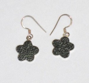 AQ101   Earrrings in Sterling Silver