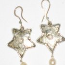AQ104  Earrrings in Sterling Silver