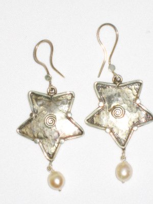 AQ104  Earrrings in Sterling Silver