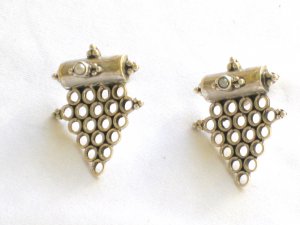 AQ110     Earrrings in Sterling Silver