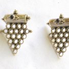 AQ111     Earrrings in Sterling Silver