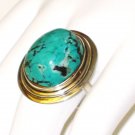 RG096       Turquoise Ring in Sterling Silver, Size 9