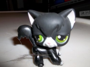 Littlest Pet Shop~#55~Kitty Cat~Angora~Black White~Green Dot Eyes~Red Magnet 