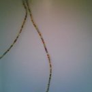18" Multicolor beaded necklace