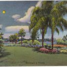 Moonlight in Florida  Vintage Linen Postcard  1943  C.T. Art-Colortone  FLA #0060