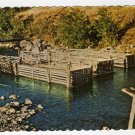 Chinook Salmon Traps in Yukon stream Alaska postcard Photo J. H. Bell  #0395