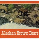 Alaskan Brown Bears fishing Postcard  photo John S. Crawford