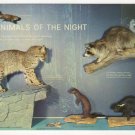 Animals of the Night Sugarlands Visitor Center Great Smoky Mountains National Park postcard TN Animals of the Night Sugarlands Visitor Center Great Smoky Mountains National Park postcard TN