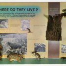 Where Do They Live? Sugarlands Visitor Center Great Smoky Mountains National Park postcard TN