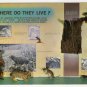 Where Do They Live? Sugarlands Visitor Center Great Smoky Mountains National Park postcard TN