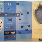 Insects Exhibit Sugarlands Visitor Center Great Smoky Mountains National Park postcard Gatlinburg TN