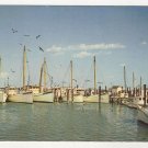 Tangier Island, VA home port fleet of boats postcard 1960s fishing crabbing oystering #0521